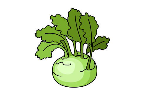 Kohlrabi